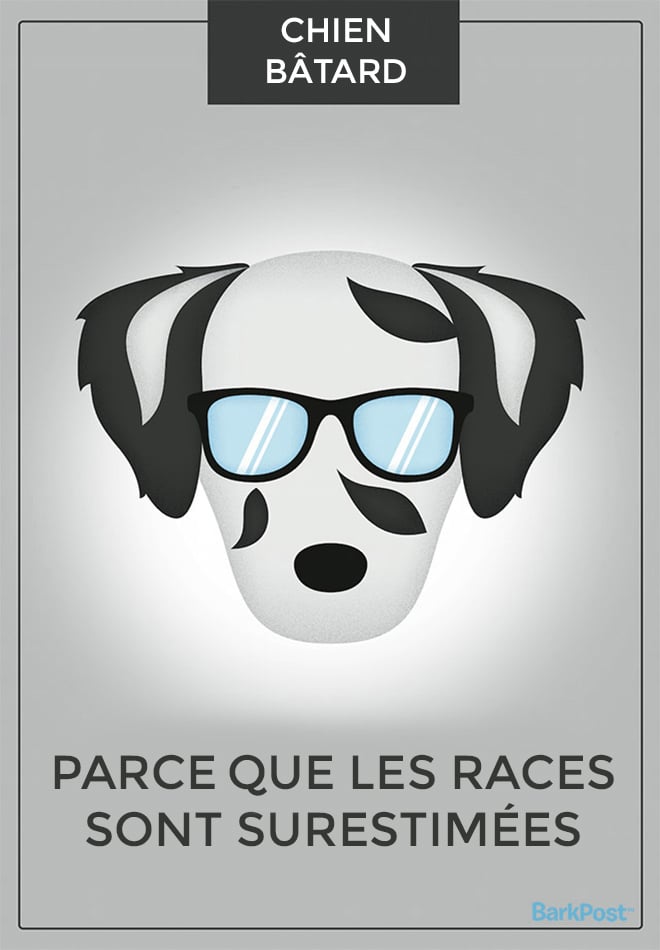 Ne Paie Pas De Mine 7 Lettres